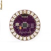 Microcontroller LilyPad
