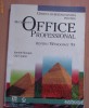 Microsoft Office Professional pentru Windows 95