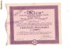 CERTIFICAT 10 ACTIUNI, SC MICA, 1941