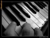 CONTACTE CLAVIATURA--KORG,ROLAND,YAMAHA,GEM,DELSON.