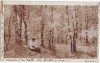 2356 - Toamna in padure - used