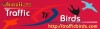 Traffic pentru site-ul tau