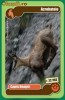 Cartonase Mega Image Minunile Planetei - Nr.22