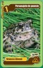 Cartonase Mega Image Minunile Planetei - Nr.10