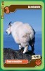 Cartonase Mega Image Minunile Planetei - Nr.21