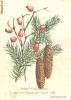 Felicitare color, Craciun si Revelion, limba germana, 1975, circulata, 103 x 145 mm