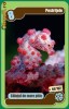 Cartonase Mega Image Minunile Planetei - Nr.44