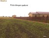 VAND TEREN CLINCENI - LANGA PADUREA ORDOREANU 520MP (loturi casa)