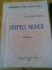 DREPTUL MUNCII VOL 1&2