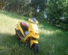 scuter malaguti f12