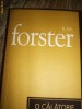 E.M.Foster - O calatorie in india