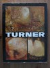 Vasile Nicolescu - TURNER (Colectia Clasicii Picturii Universale)