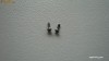 2 x Suruburi Capac Carcasa Apple iPhone 4 4S