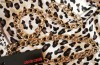 ROBERTO CAVALLI