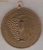 CIA 274 Medalie 20 de ani in slujba dezvoltarii patrimoniului viti-vinicol -jud. Vaslui -1968-1988 -dimensiuni circa 60 milimetri diametrul