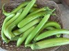 Seminte Vinete GreenThai