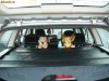 grilaj despartitor habitaclu opel astra G breack