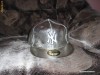 Sapca,Joben NY Yankees !  Made in USA