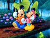 DVD WALT DISNEY ORIGINALE (DESENE ANIMATE)