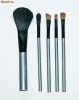Set 5 Pensule Royal Functionality