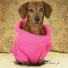 Cozy Doggie Blanket pet dog blanket PINK - paturica pentru caine ,catel  - 62/38cm