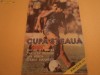 Program Cupa STEAUA - editia a IIa