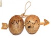 Valentines Coconut - Nuci de cocos sagetate - www.giftopia.ro
