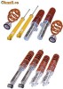 Suspensii Sport Reglabile! - marca TA-Technix pentru BMW E46 seria 3