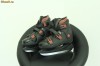 Patine Hochei 38-39 marca ROCES