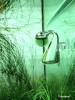 CO2 Drop Checker pentru acvariu + solutie PH