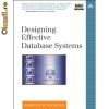 Designing Effective Database Systems. Rebecca Riordan