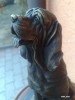CAINE DE VANATOARE DE BRONZ,LUCRARE SEMNATA