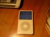 IPOD