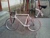 Cursiera single speed ( Bicicleta, oras, curse)