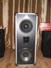 Vand boxe profesionale 250w RMS