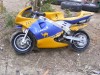 Pocket bike  Mini moto - motor benzina