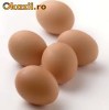 VAND OUA ECOLOGICE
