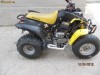 Quad T-REX Barossa 250