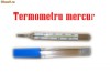 TERMOMETRE CU MERCUR