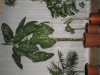 Planta Apartament
