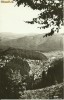 Borsec - vedere