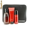 Christian Dior-Dior Fahrenheit SET 100ml parfum + 75ml gel dus + 50ml deodorant spray + geanta