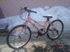 BICICLETA ALPHA FETITE(8-14ANI)
