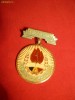 Insigna -Pionier de Frunte