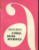 Anticariat Ion Andrei - Cifrul Petre Petrescu - Autor : Grigore Beuran - 59775