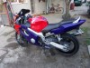 Honda CBR 600 F4 99