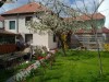Vand casa Mircea cel Batran Timisoara Vand casa Mircea cel Batran Timisoara