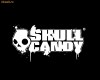 Skullcandy Titan/Icon Soft/Lowrider - sigilate