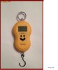 Cantar electronic pescuit de mana (portabil)