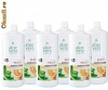 Set de 6 Aloe Vera Piersici